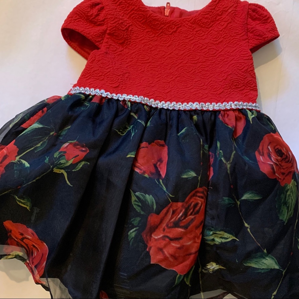 Baby Girl Special Occasion Dress